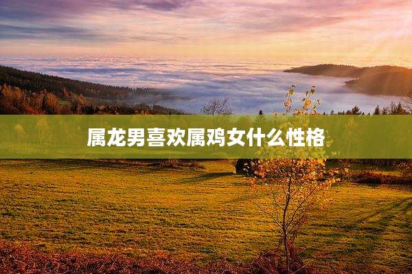 属龙男喜欢属鸡女什么性格
