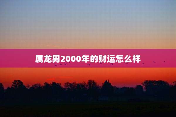 属龙男2000年的财运怎么样