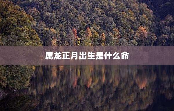 属龙正月出生是什么命