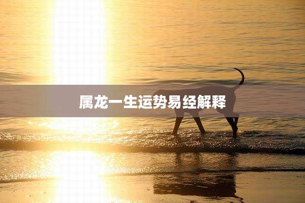 属龙一生运势易经解释