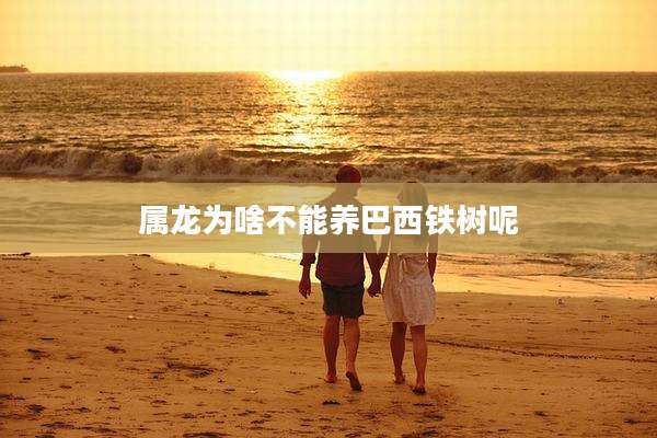 属龙为啥不能养巴西铁树呢