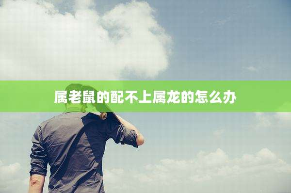 属老鼠的配不上属龙的怎么办