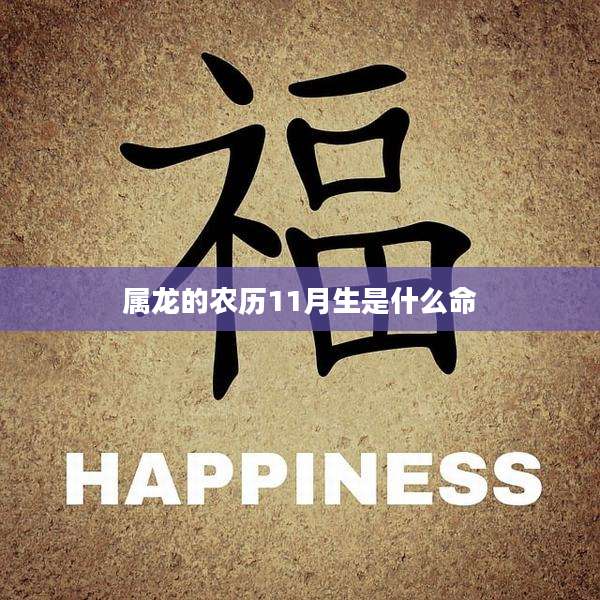 属龙的农历11月生是什么命