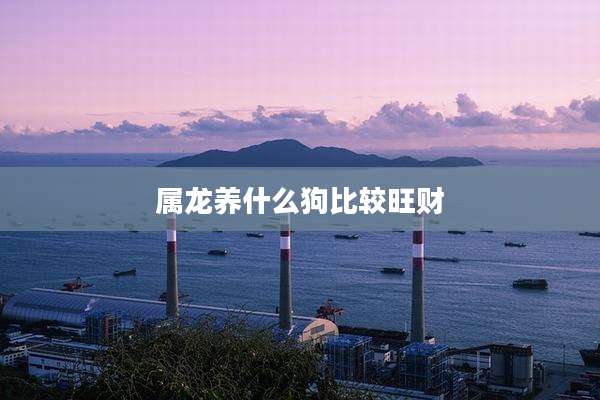 属龙养什么狗比较旺财