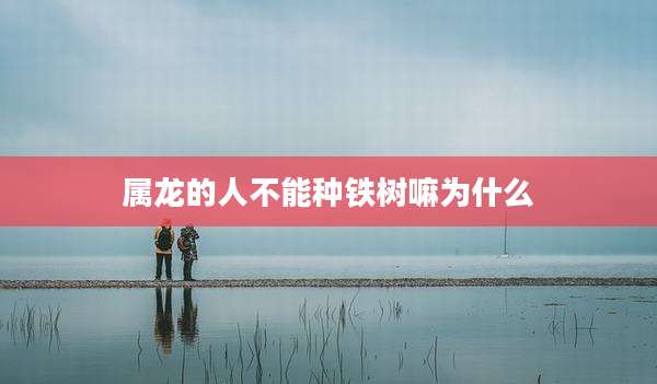 属龙的人不能种铁树嘛为什么