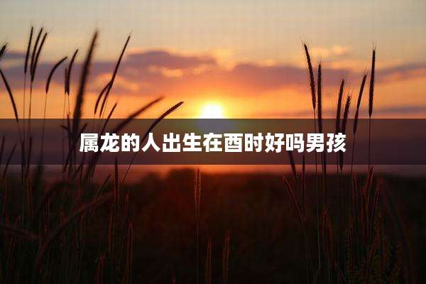 属龙的人出生在酉时好吗男孩