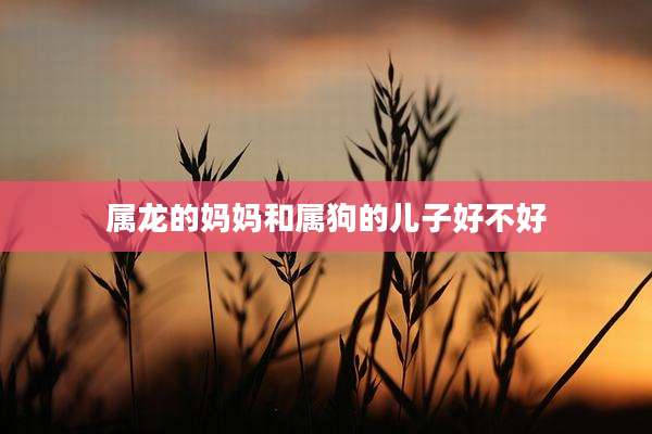 属龙的妈妈和属狗的儿子好不好