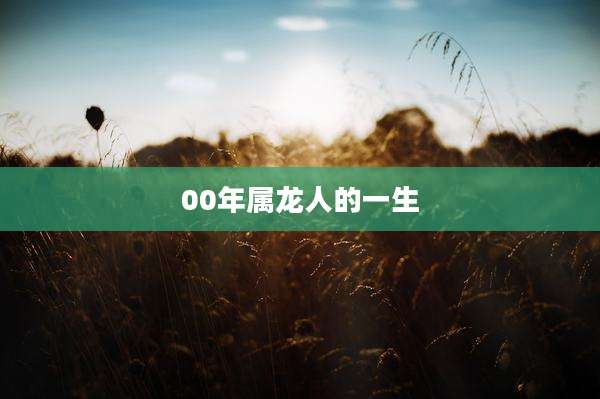 00年属龙人的一生