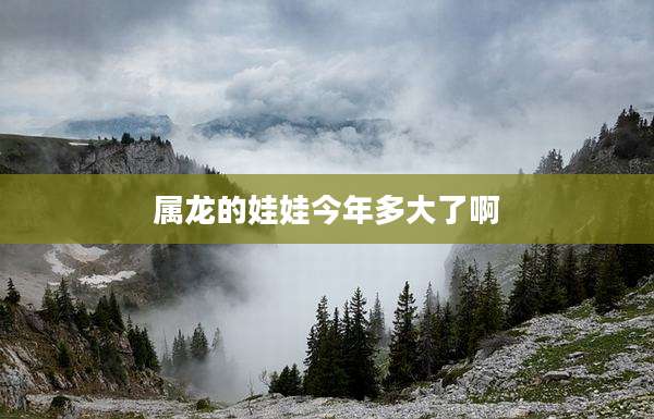 属龙的娃娃今年多大了啊