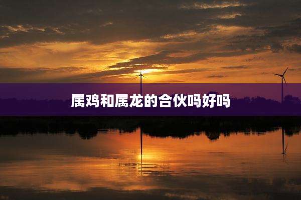 属鸡和属龙的合伙吗好吗