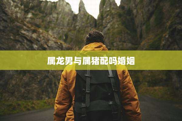 属龙男与属猪配吗婚姻