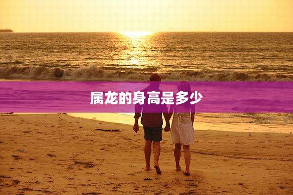 属龙的身高是多少