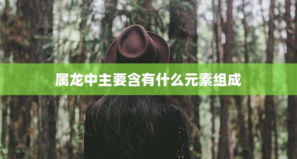 属龙中主要含有什么元素组成