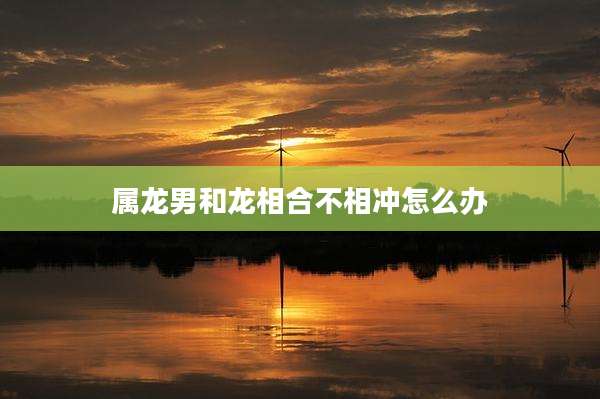 属龙男和龙相合不相冲怎么办