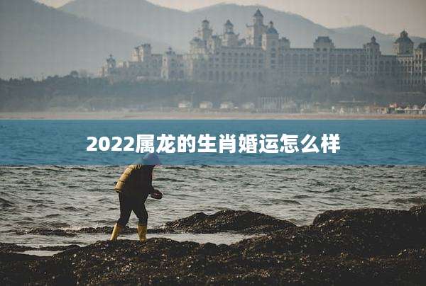 2022属龙的生肖婚运怎么样