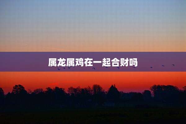 属龙属鸡在一起合财吗
