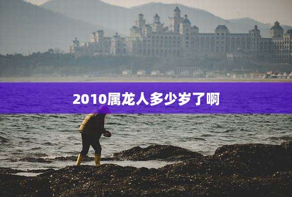 2010属龙人多少岁了啊