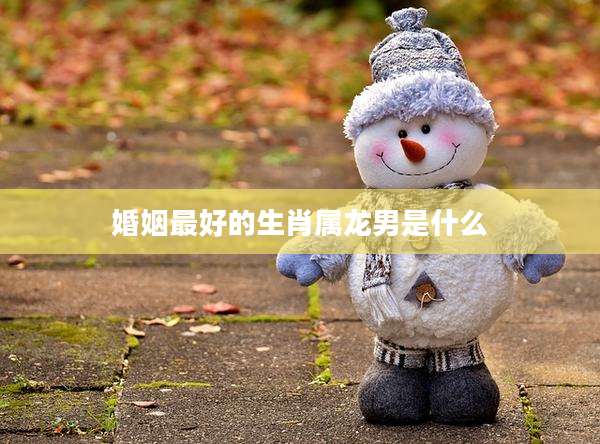 婚姻最好的生肖属龙男是什么