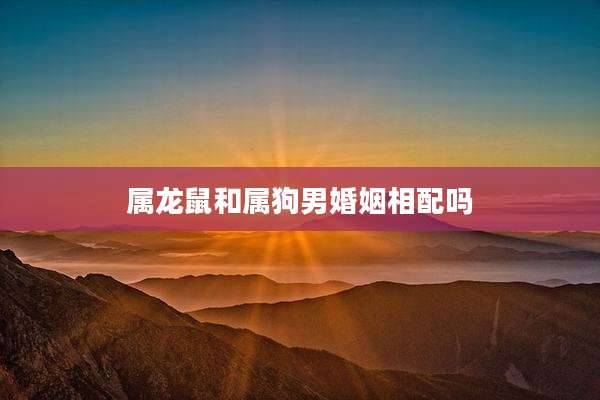 属龙鼠和属狗男婚姻相配吗