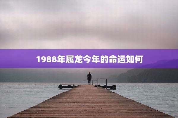 1988年属龙今年的命运如何