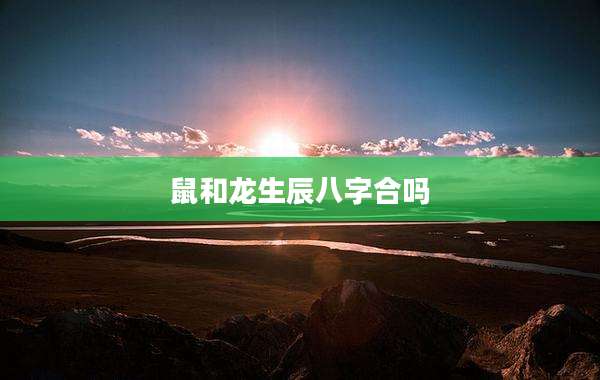 鼠和龙生辰八字合吗