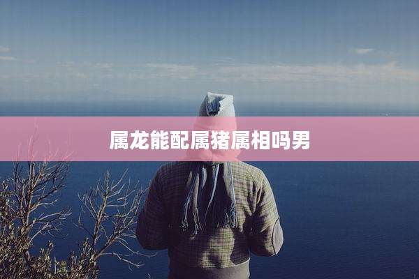 属龙能配属猪属相吗男