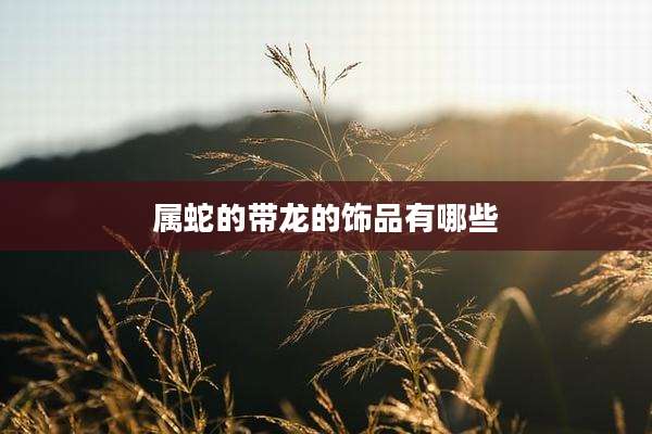 属蛇的带龙的饰品有哪些