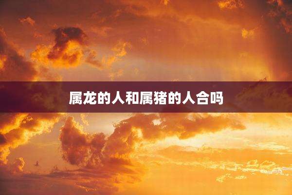 属龙的人和属猪的人合吗