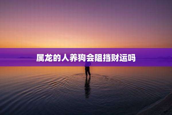 属龙的人养狗会阻挡财运吗