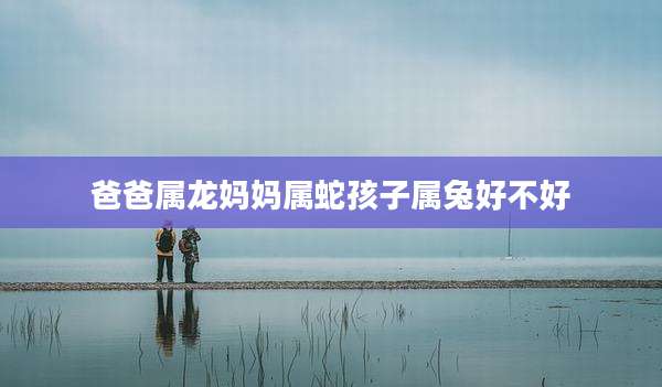 爸爸属龙妈妈属蛇孩子属兔好不好