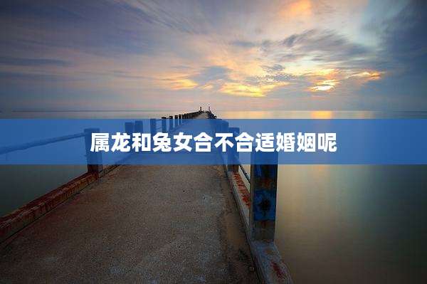 属龙和兔女合不合适婚姻呢