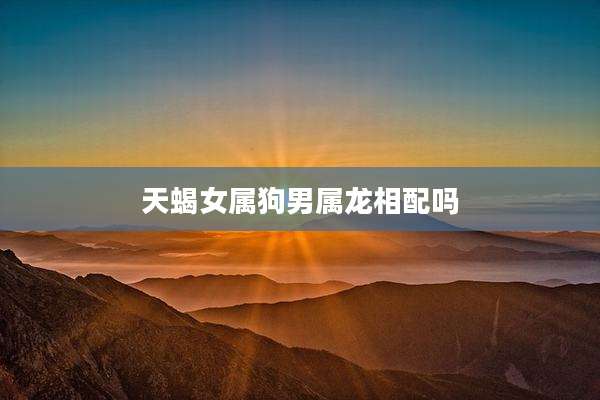 天蝎女属狗男属龙相配吗