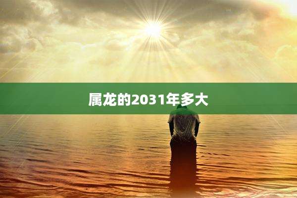 属龙的2031年多大