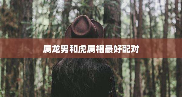属龙男和虎属相最好配对