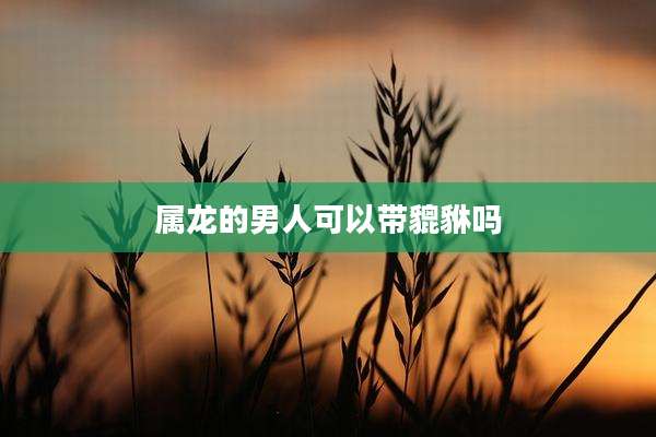 属龙的男人可以带貔貅吗