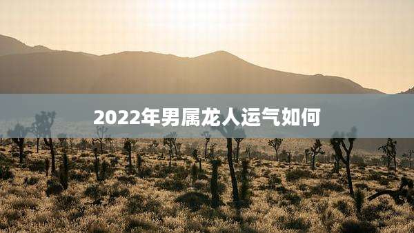 2022年男属龙人运气如何