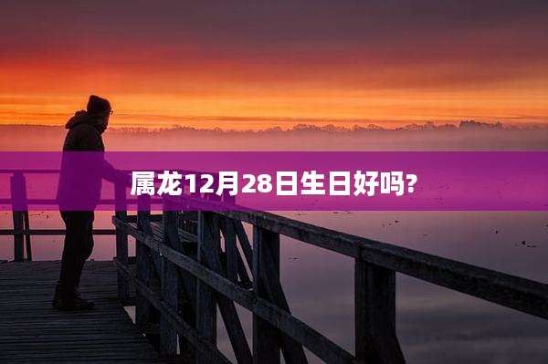 属龙12月28日生日好吗?