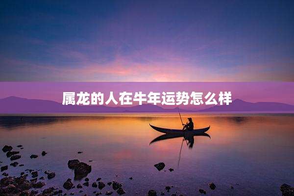 属龙的人在牛年运势怎么样