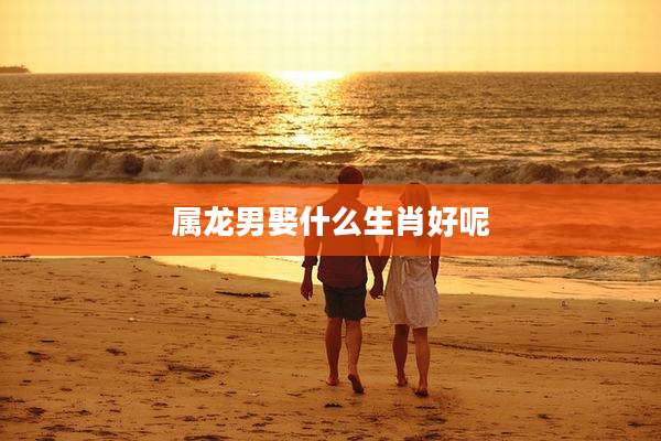 属龙男娶什么生肖好呢