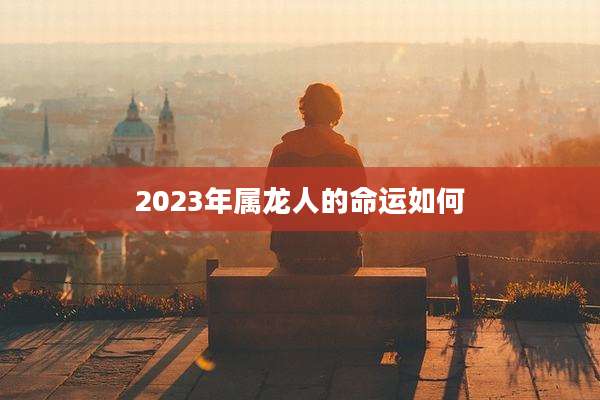 2023年属龙人的命运如何