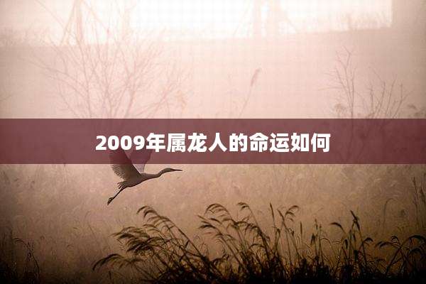 2009年属龙人的命运如何