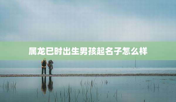 属龙巳时出生男孩起名子怎么样
