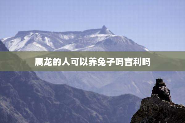 属龙的人可以养兔子吗吉利吗