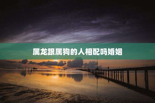 属龙跟属狗的人相配吗婚姻