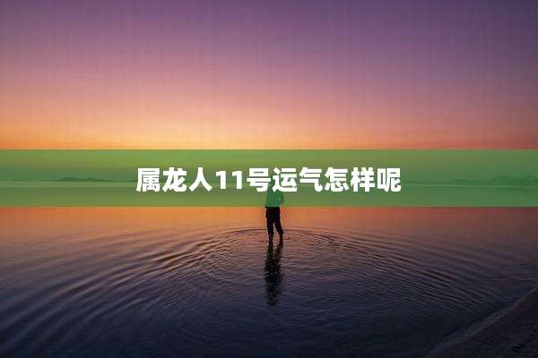 属龙人11号运气怎样呢