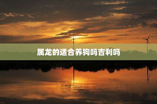 属龙的适合养狗吗吉利吗