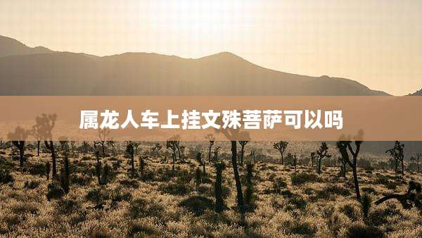 属龙人车上挂文殊菩萨可以吗