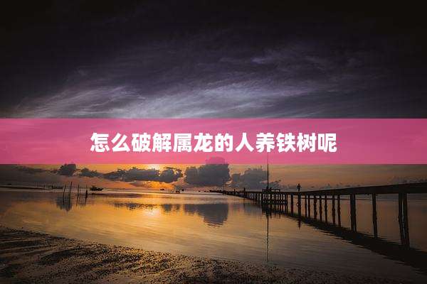 怎么破解属龙的人养铁树呢