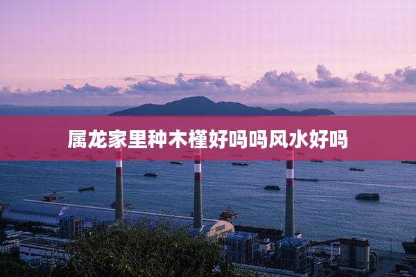 属龙家里种木槿好吗吗风水好吗