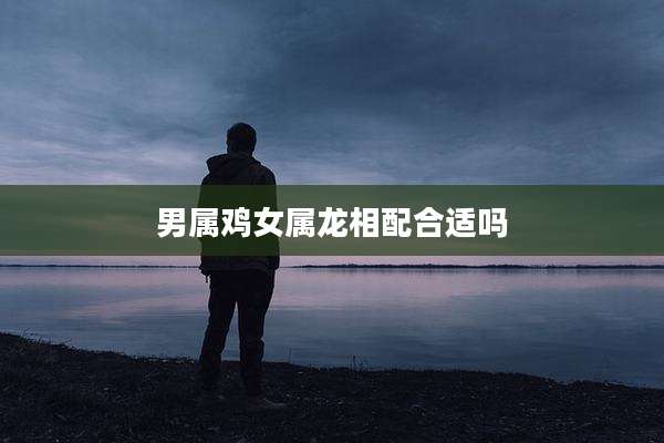 男属鸡女属龙相配合适吗